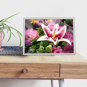 4x6 Asiatic Lily Rosella’s Dream‎ Pink Flowers Oil Painting Art Poster Print